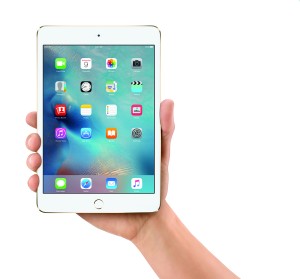 iPad mini 4 Storage