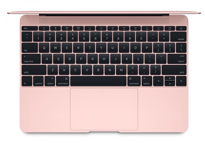 Apple 12.9-inch iPad Pro or Apple MacBook 2016